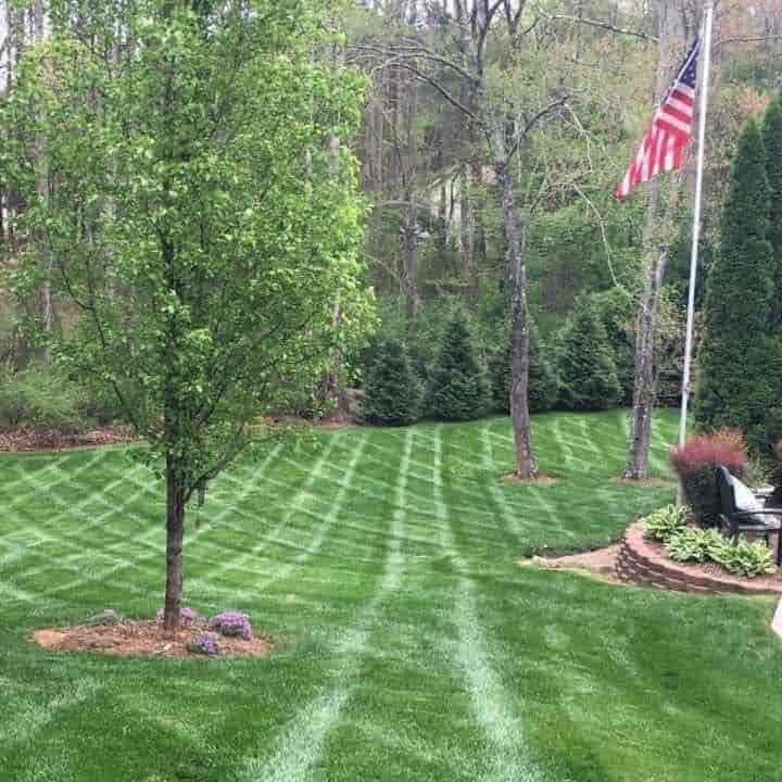 Lawn Services